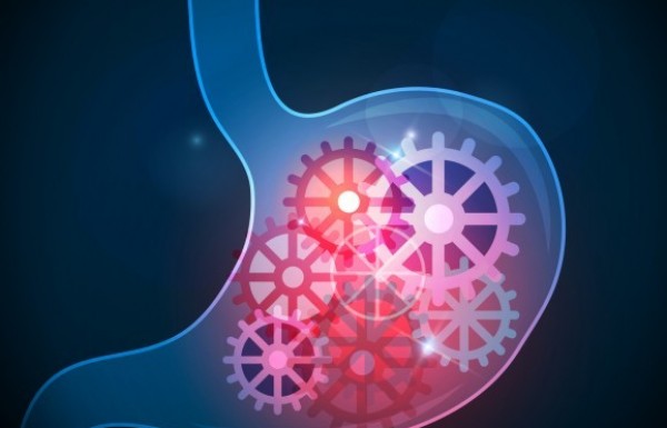 אולקוס טיפול